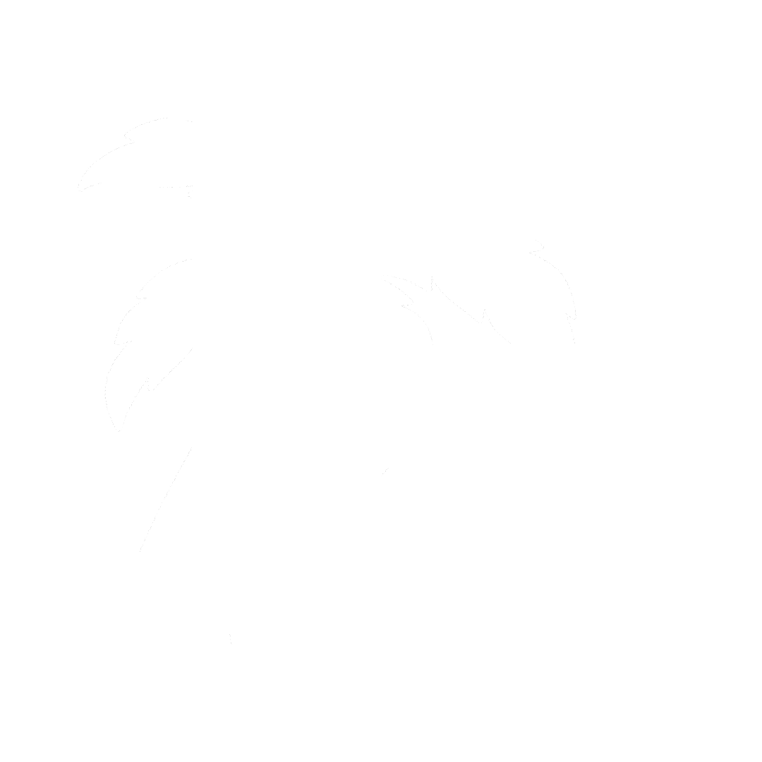 Florida State Roleplay icon